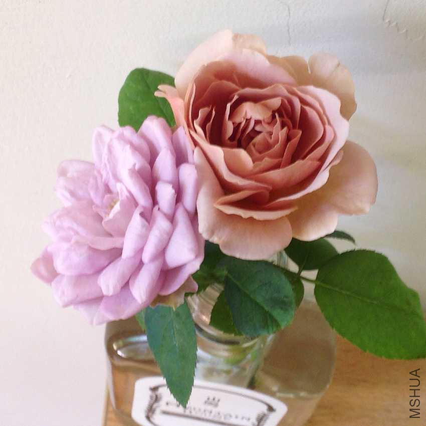 (��)����2.5Сʱ����ɫ���� (��)��������