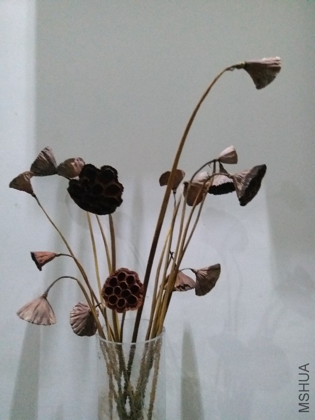 20160820_085001.jpg