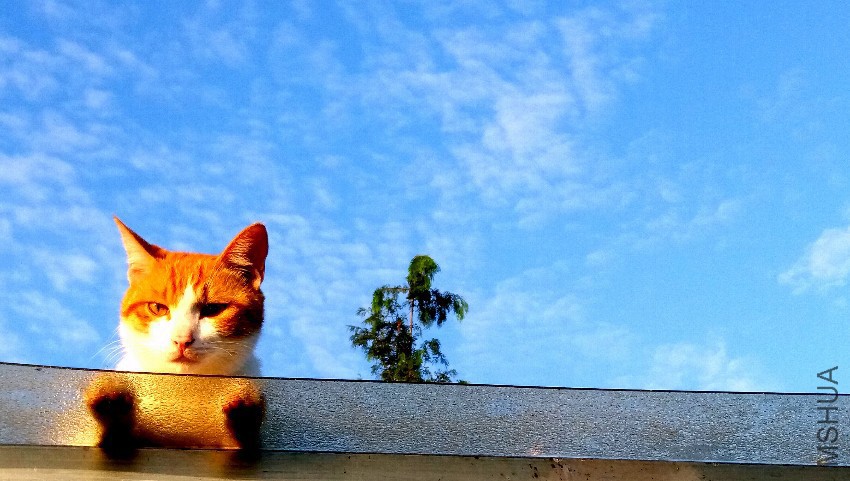 20160715_085045.jpg
