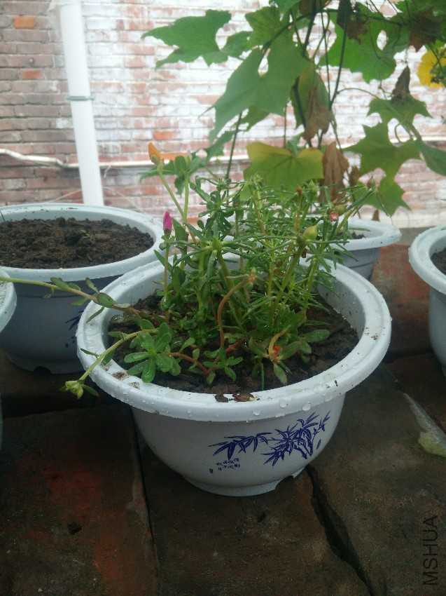 IMG20160820085623.jpg