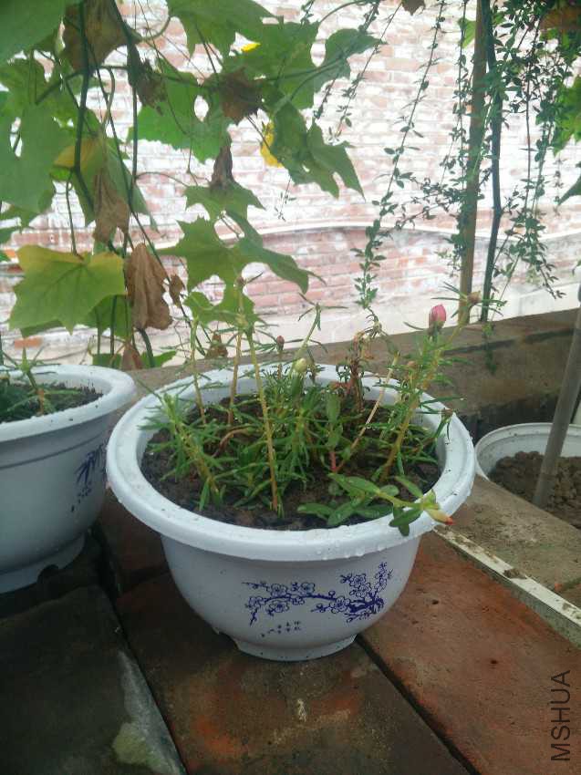 IMG20160820085625.jpg