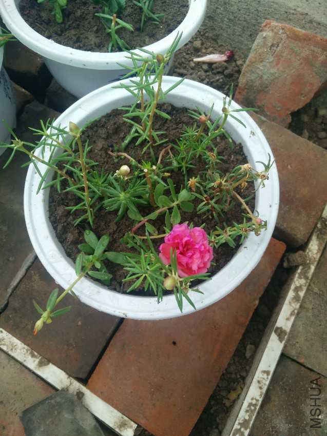 IMG20160820111708.jpg