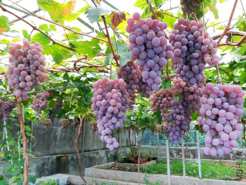 20160728_102314.jpg