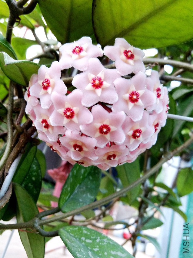 20160728_102411.jpg