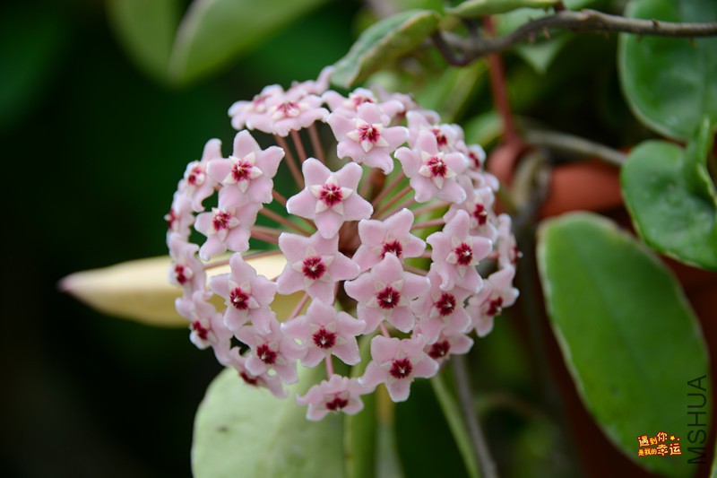 ��Ƭ 147_����.jpg