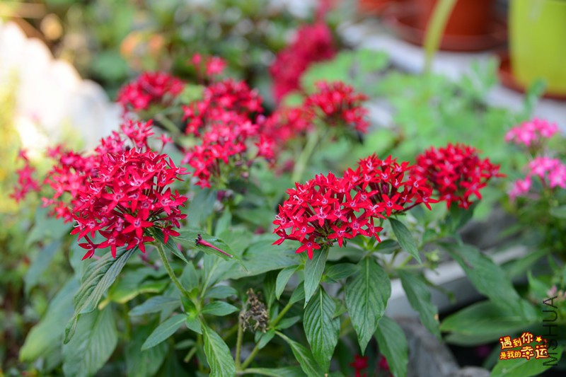 ��Ƭ 021_����.jpg