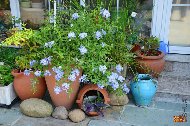 ��Ƭ 023_����.jpg