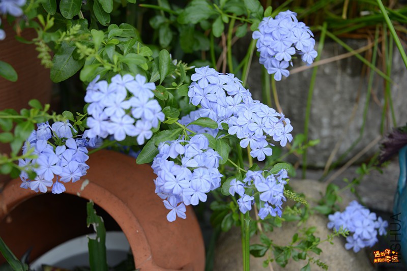 ��Ƭ 024_����.jpg