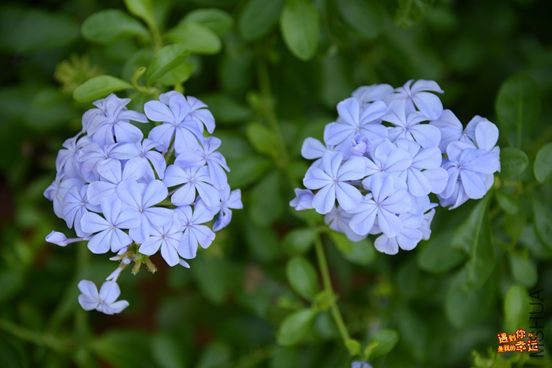 ��Ƭ 027_����.jpg