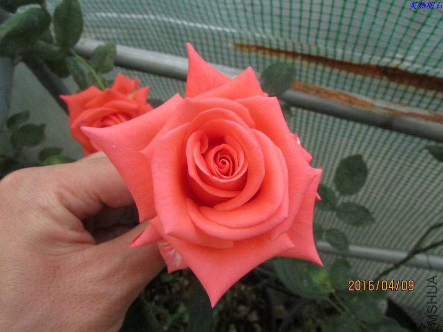 IMG_3776_nEO_IMG.jpg