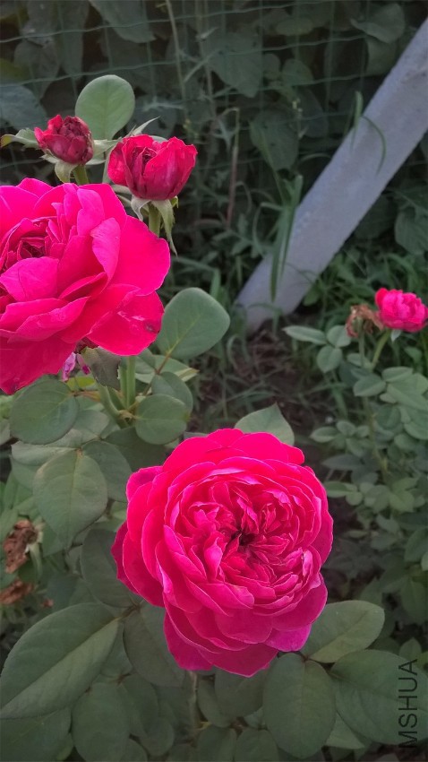 WP_20160821_18_36_14_Pro.jpg
