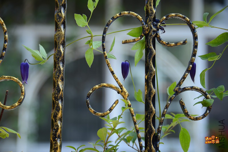 ��Ƭ 054_����.jpg