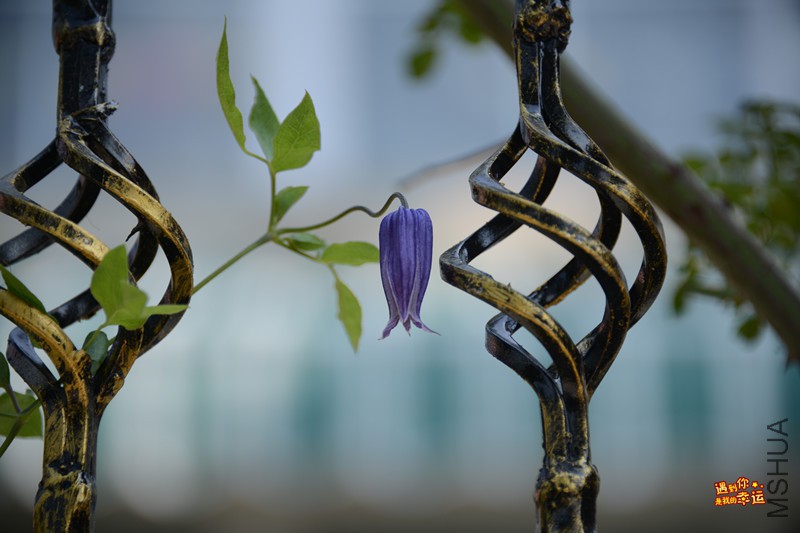 ��Ƭ 056_����.jpg