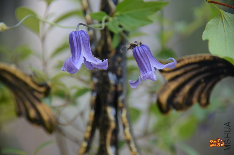 ��Ƭ 055_����.jpg