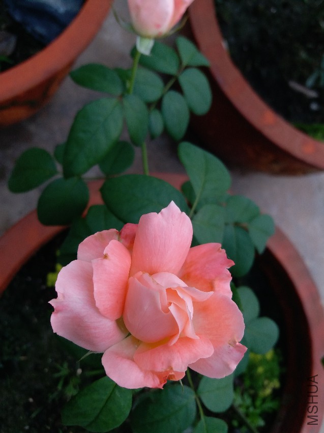 20160714_194616.jpg