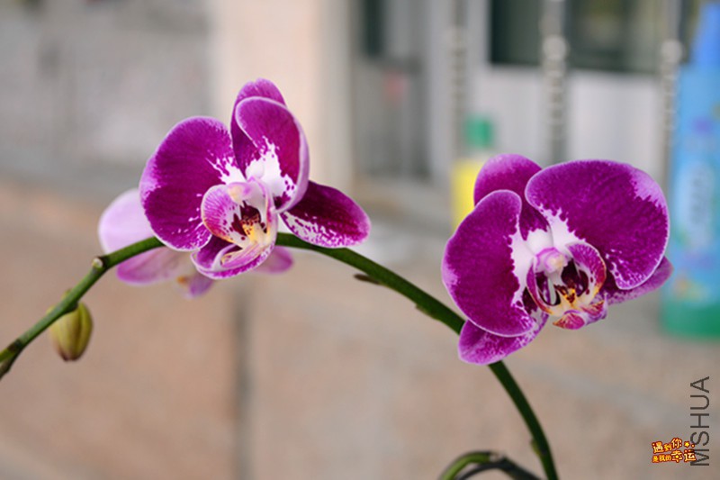 ��Ƭ 005_����.jpg