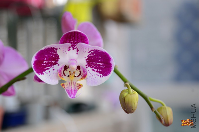 ��Ƭ 008_����.jpg