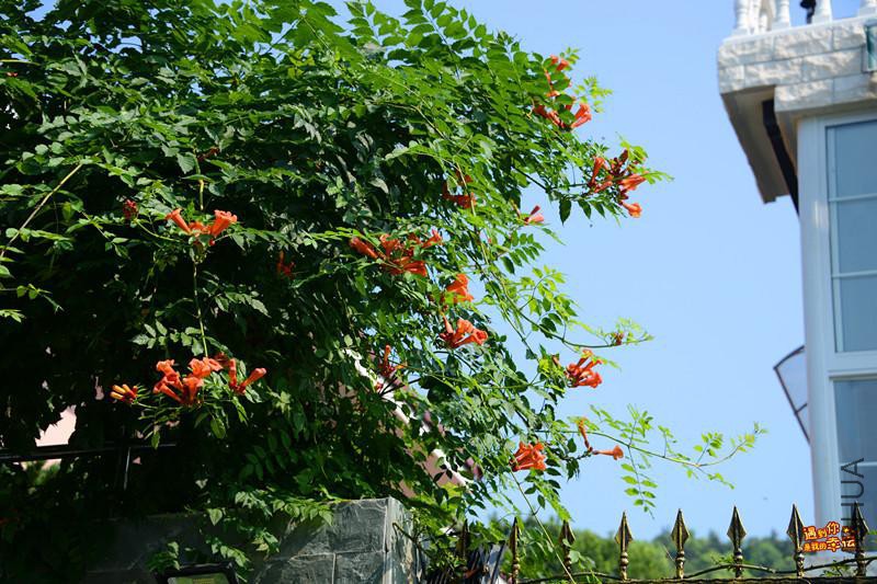 ��Ƭ 038_����.jpg