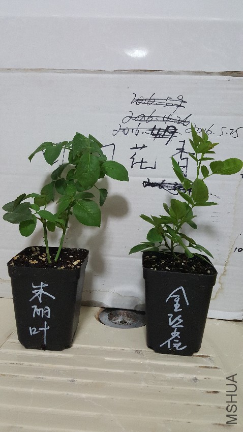 20160823_224328.jpg