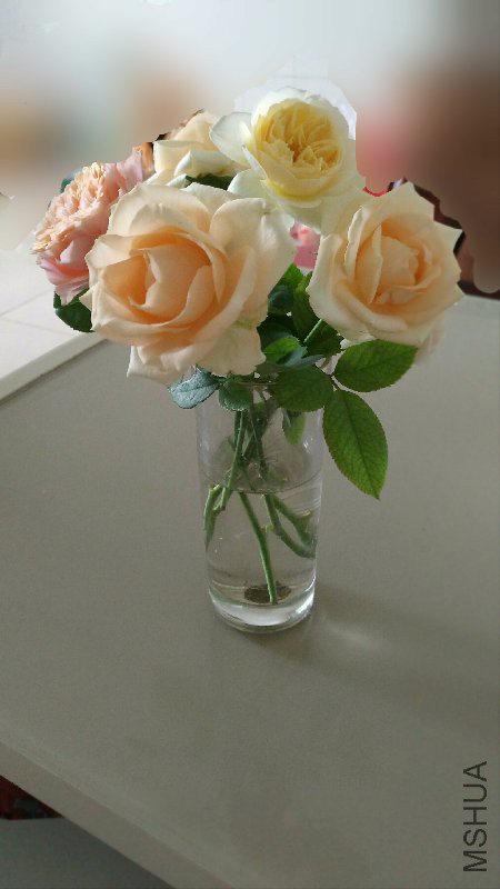 IMG_20160824_115351.jpg