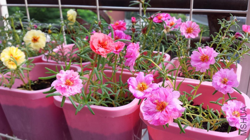 20160826_074101.jpg