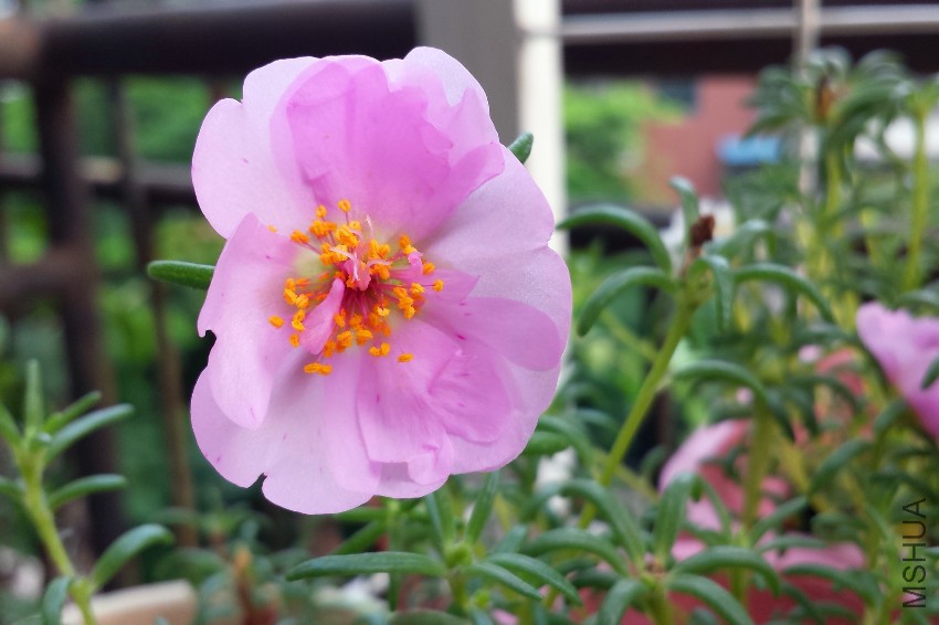 20160826_074110.jpg