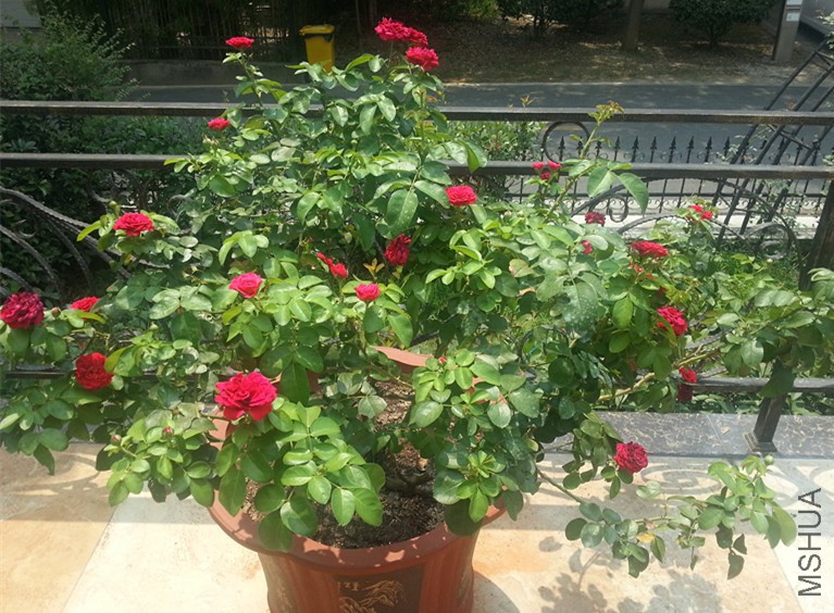 20160826_121356_����.jpg
