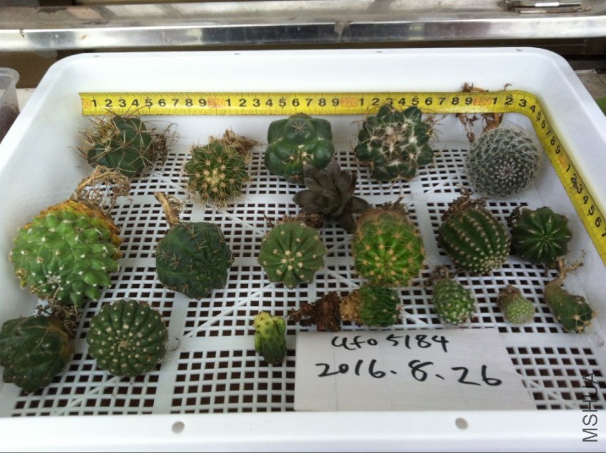 QQͼƬ20160827084433.jpg