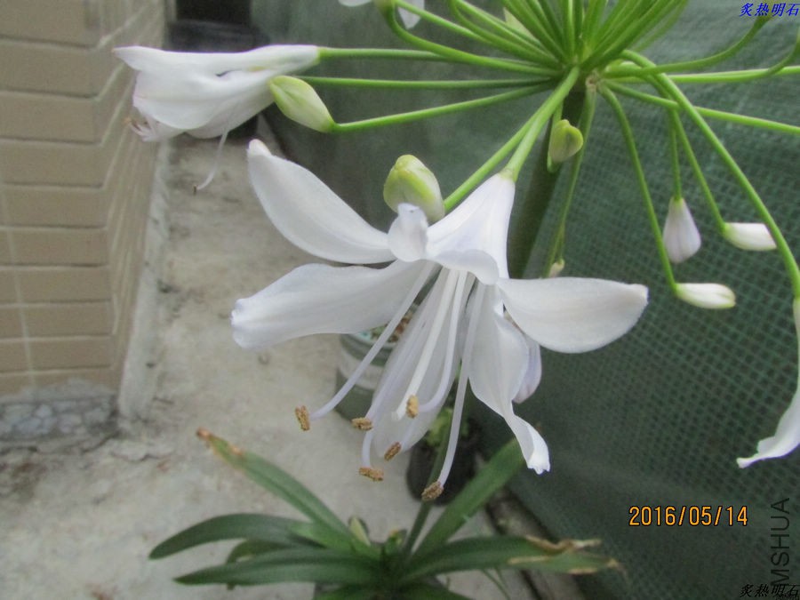 IMG_5058_nEO_IMG.jpg