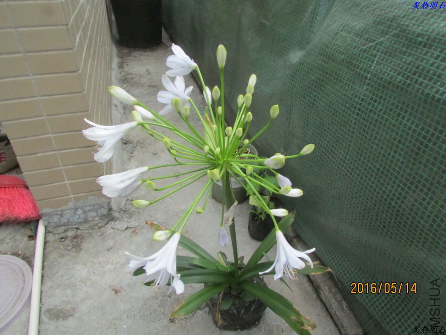 IMG_5060_nEO_IMG.jpg