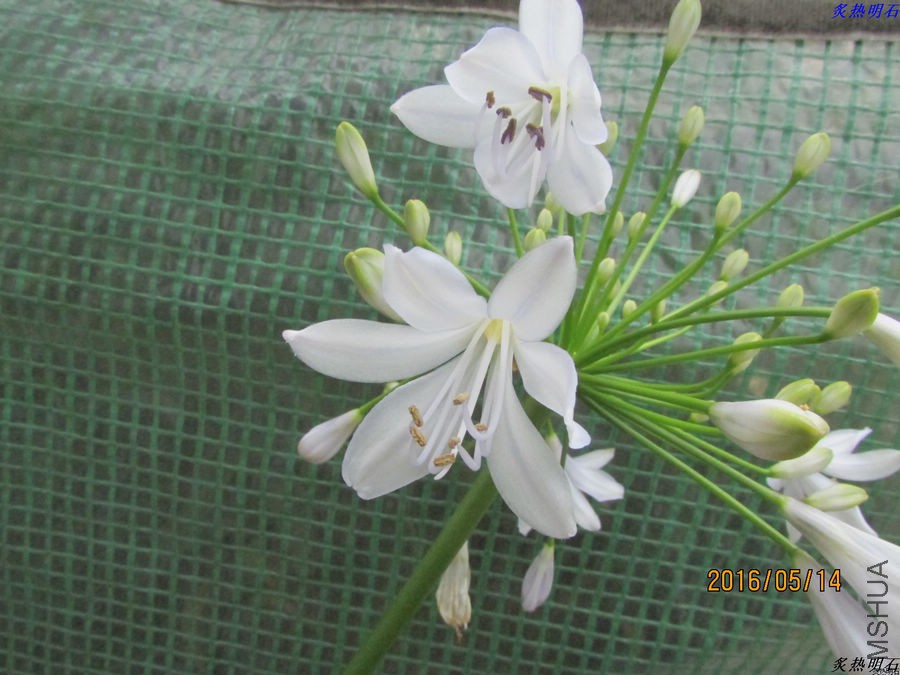 IMG_5061_nEO_IMG.jpg