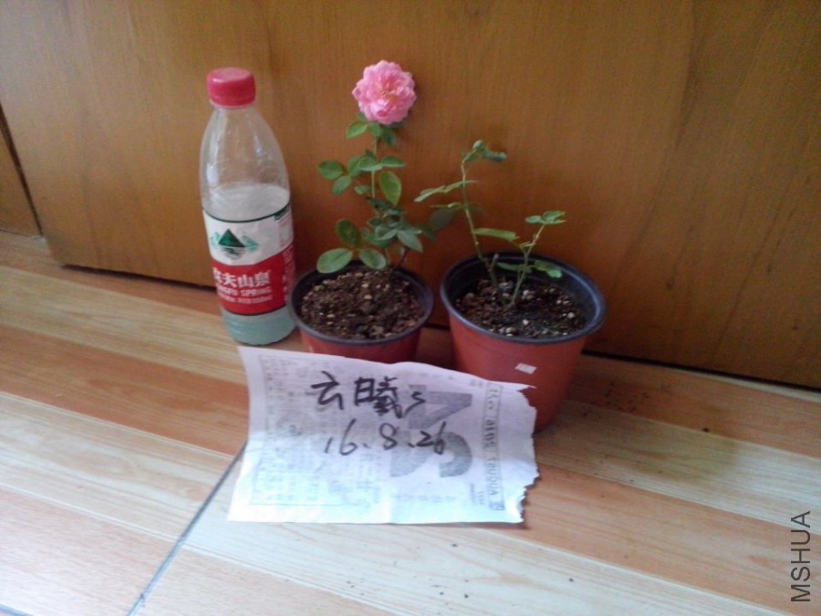 CĪ��Ǥ����.jpg