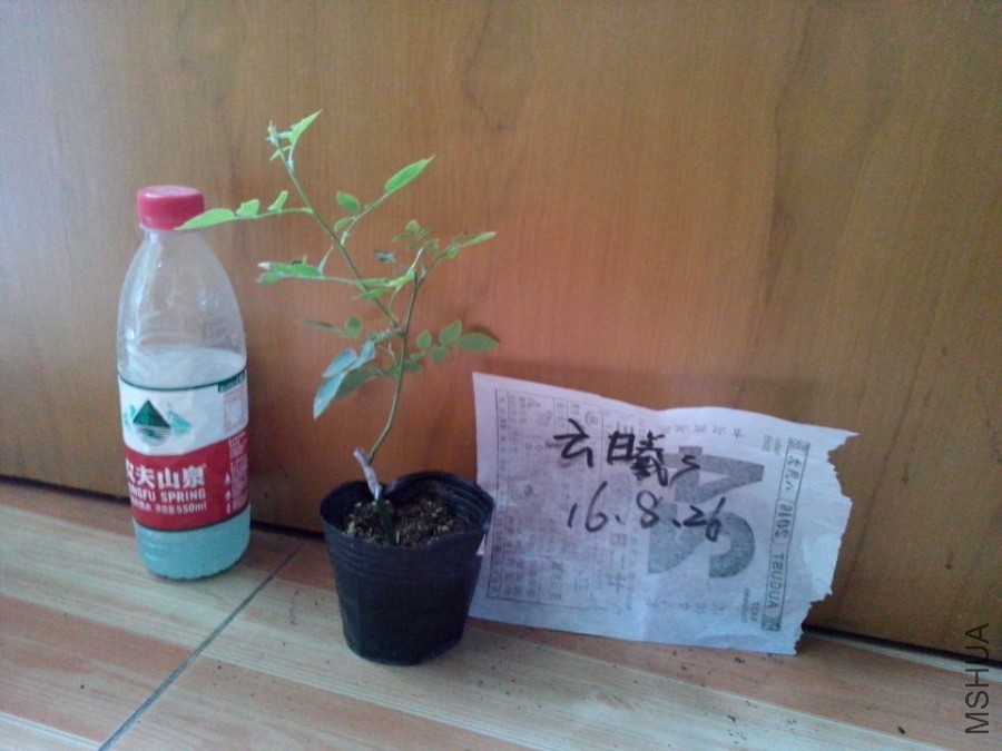 I·����֦����.jpg