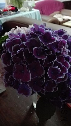 IMG_20160526_181449.jpg