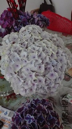 IMG_20160531_174606.jpg