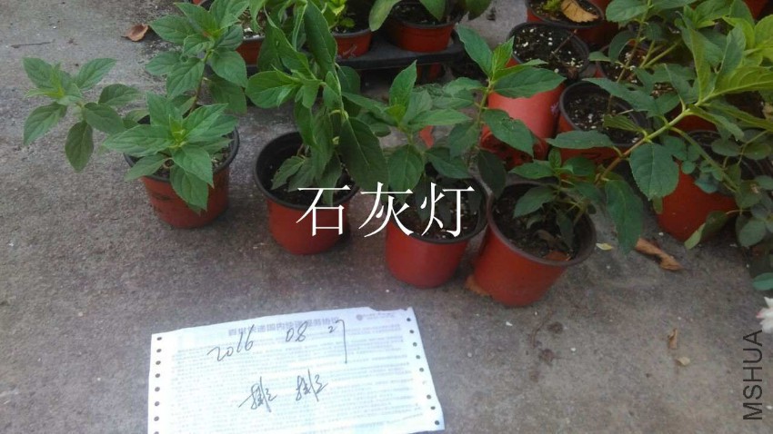 QQͼƬ20160827173324.jpg
