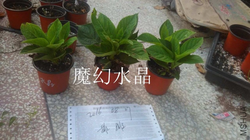 QQͼƬ20160827173320.jpg