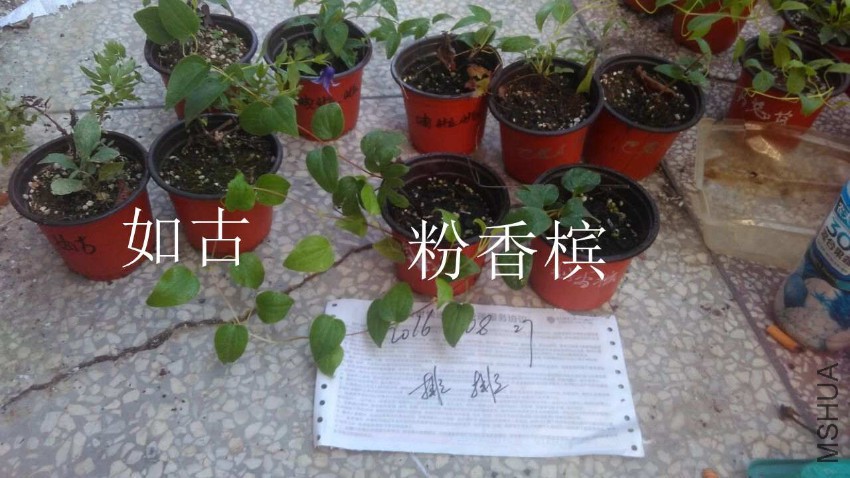 QQͼƬ20160827174550.jpg