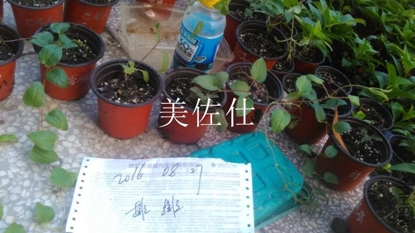 QQͼƬ20160827174726.jpg