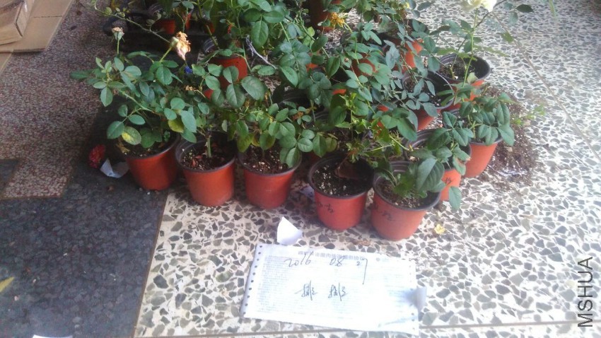 QQͼƬ20160827173316.jpg