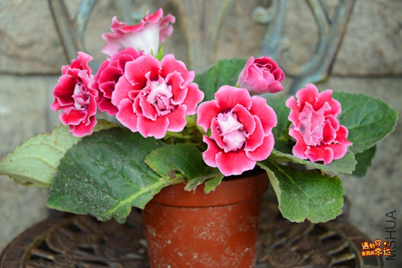 ��Ƭ 010_����.jpg