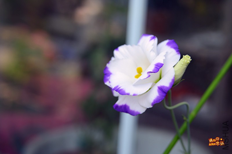 ��Ƭ 012_����.jpg