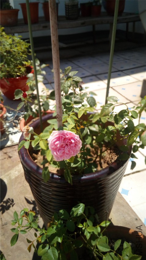 ���ɾ���