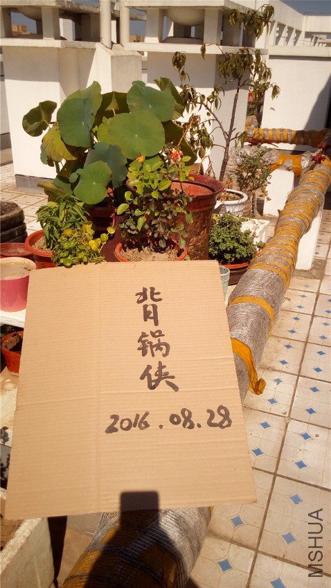 �ǲ���˹