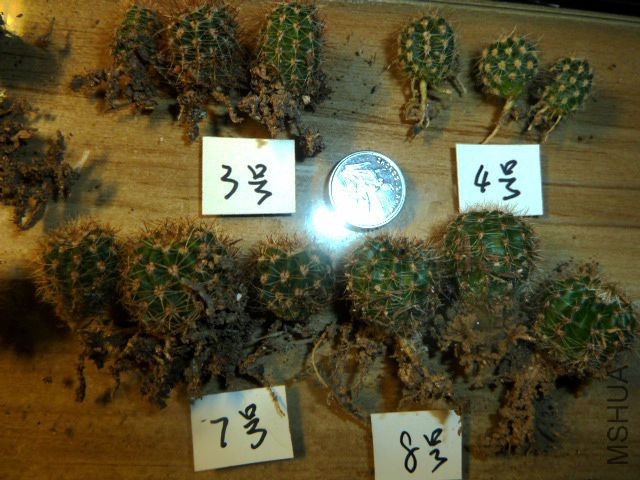 P1080722.JPG