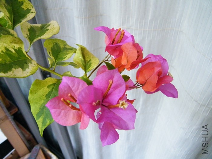 2016 08 13 001.jpg