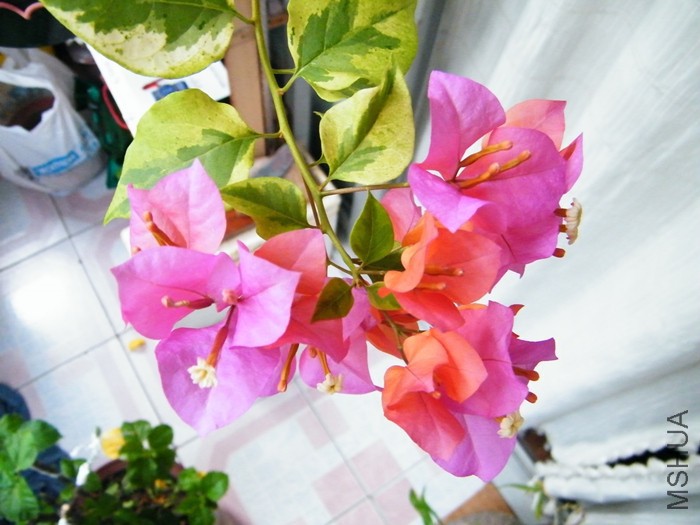 2016 08 13 002.jpg