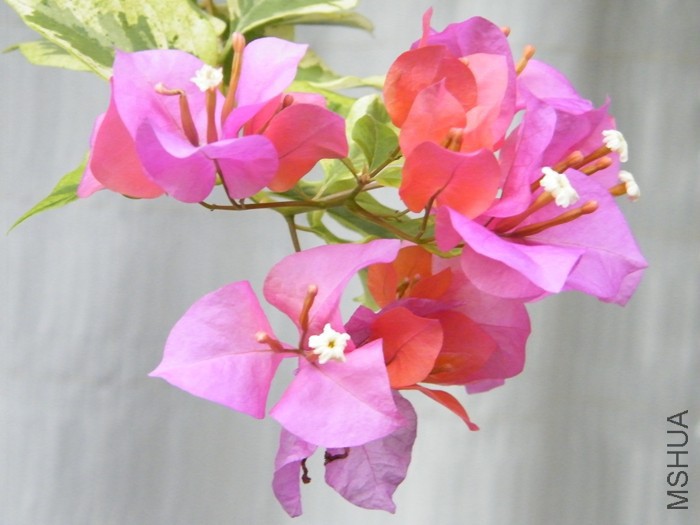 2016 08 13 004.jpg