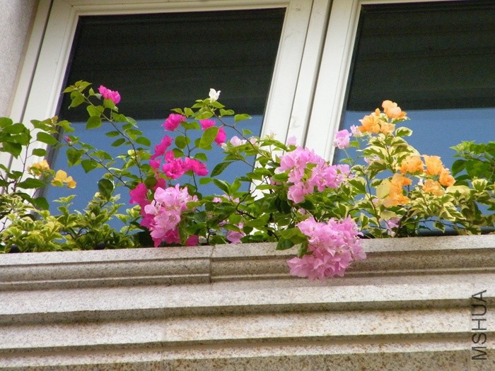 2016 08 12 012.jpg