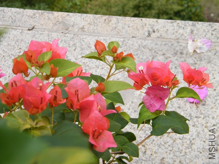 2016 08 12 021.jpg